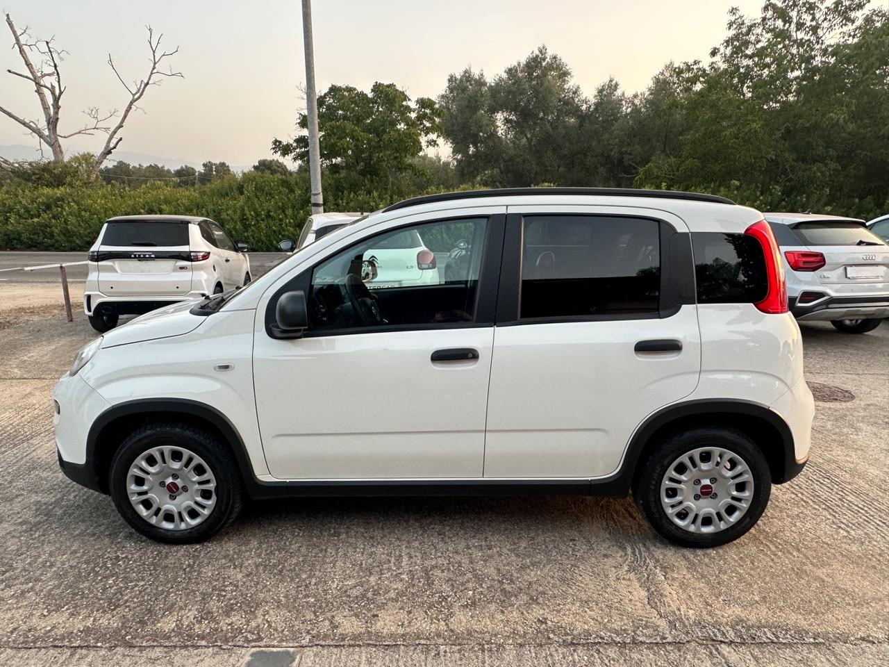 Fiat Panda 1.0 FireFly S&S Hybrid