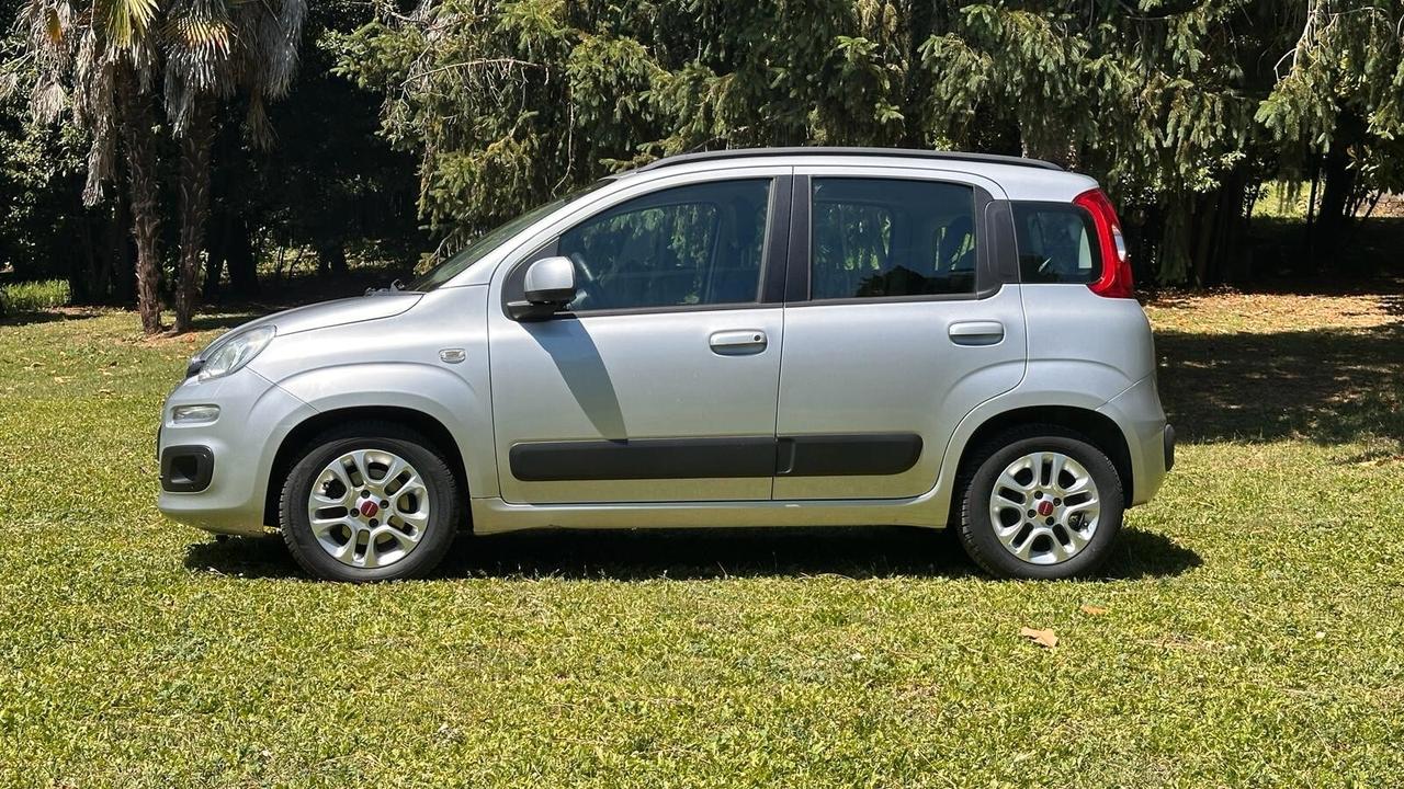Fiat Panda 1.2 2017 GPL OTTIME CONDIZIONI neopatent LEGGI TESTO