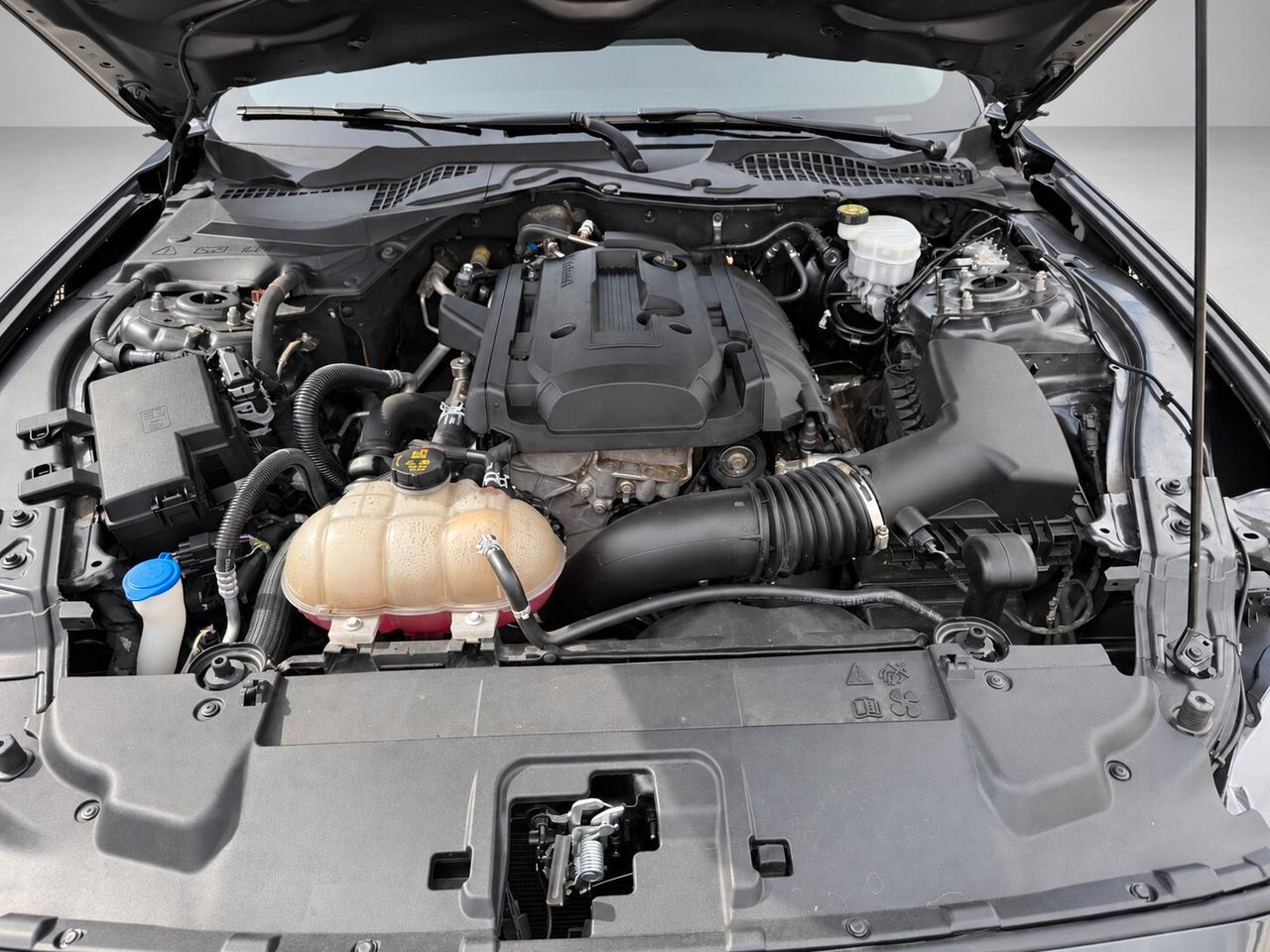 Ford Mustang 2.3 Coupé Shelby GT 500/Led/Cam 314 CV