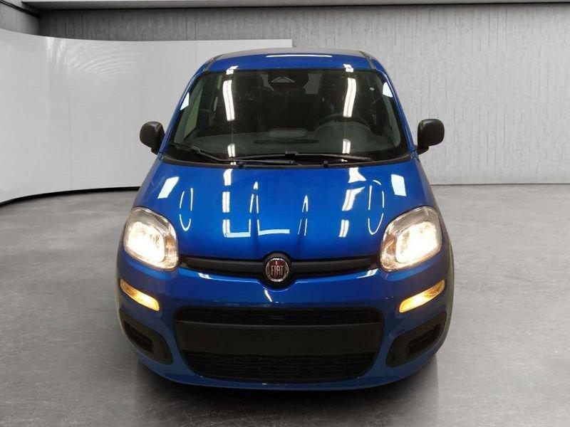 FIAT Pandina 1.0 firefly hybrid Icon s&s 70cv 5p.ti
