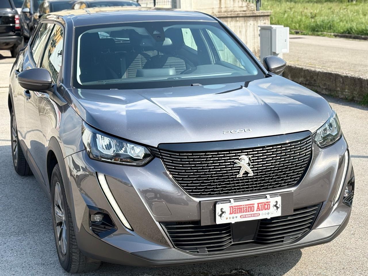 Peugeot 2008 BlueHDi 110 Active FULL LED/NAV/CAM