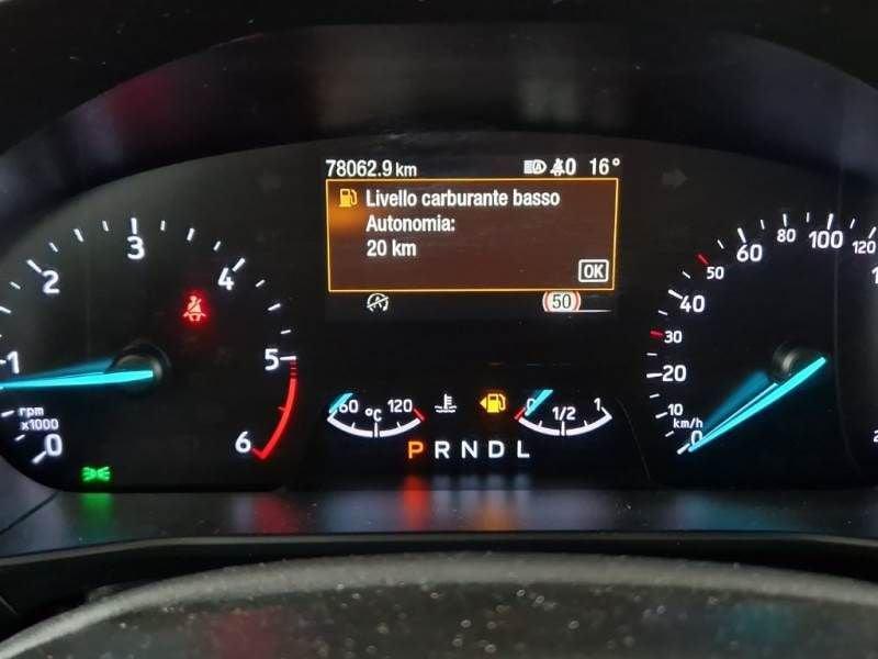 Ford Focus 1.5 EcoBlue 120 CV automatico 5p. Active Co-Pilot
