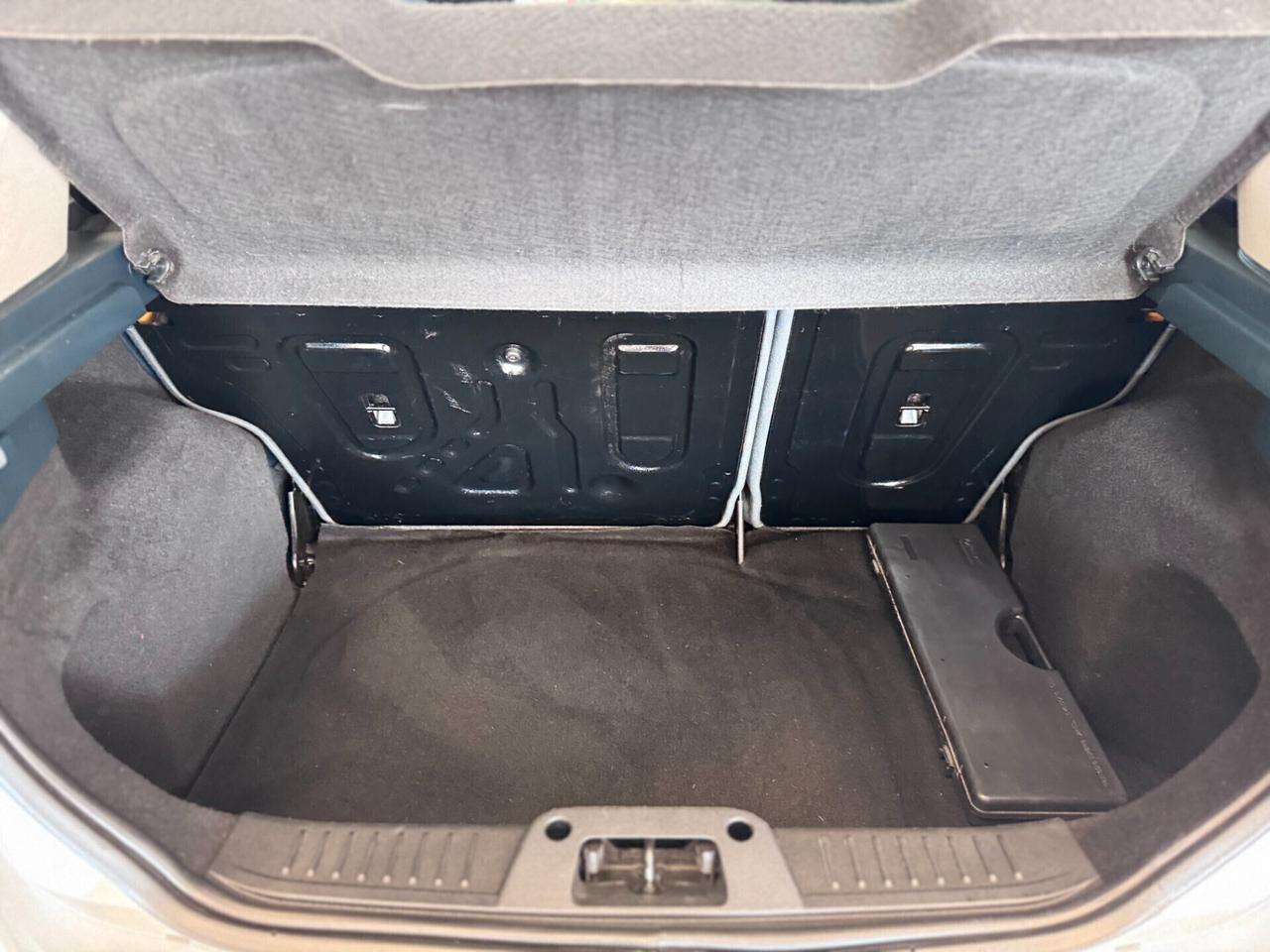 Ford Fiesta 1.4 TDCi 68CV 5 porte Titanium