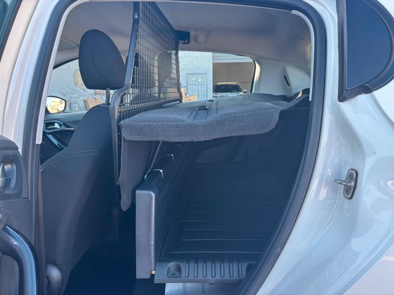 Peugeot 208 BlueHDi 100 S&S 5 porte Van Active