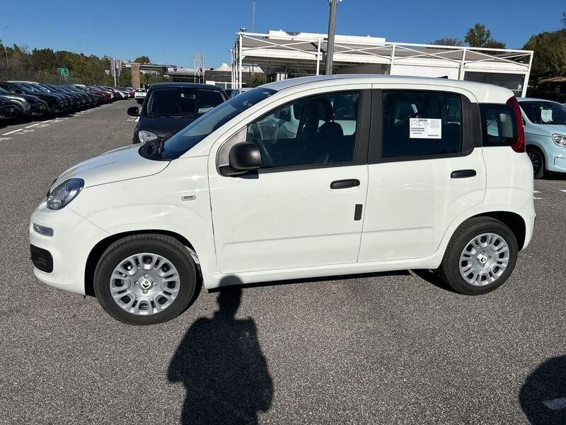 FIAT Panda New 1.0 70cv Hybrid Panda