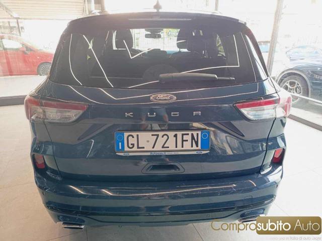 FORD Kuga 1.5 EcoBlue 120 CV 2WD Titanium Business
