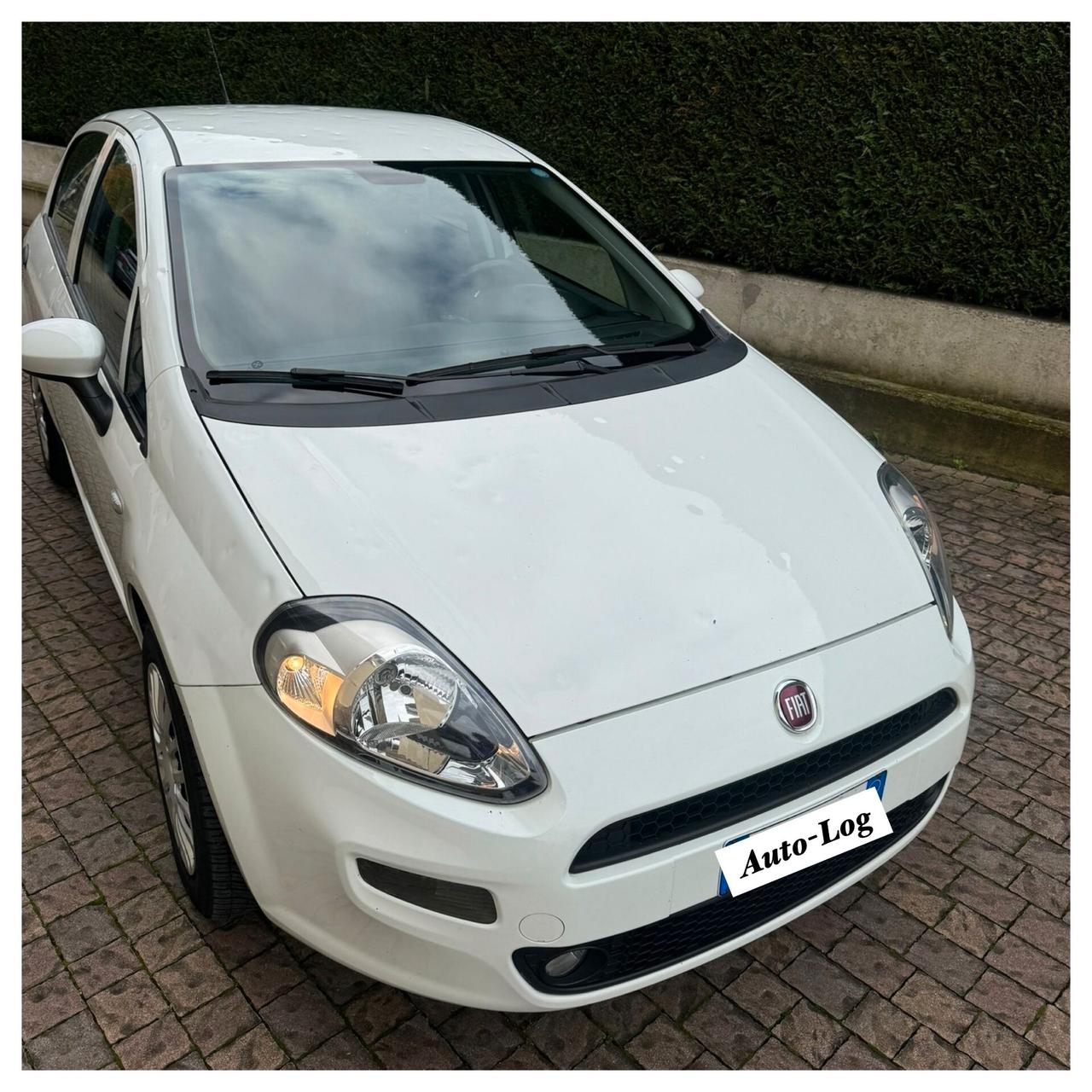 Fiat Punto 1.3 MJT GRANDINATA