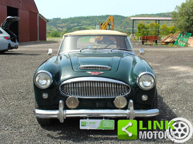 AUSTIN Healey MK II 3000 Cabrio BJ7 / Targata TO