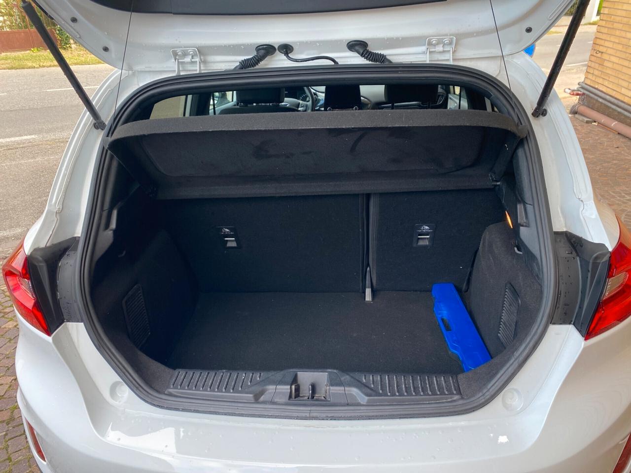 Ford Fiesta 1.0 Ecoboost Hybrid 125 CV 5 porte Active