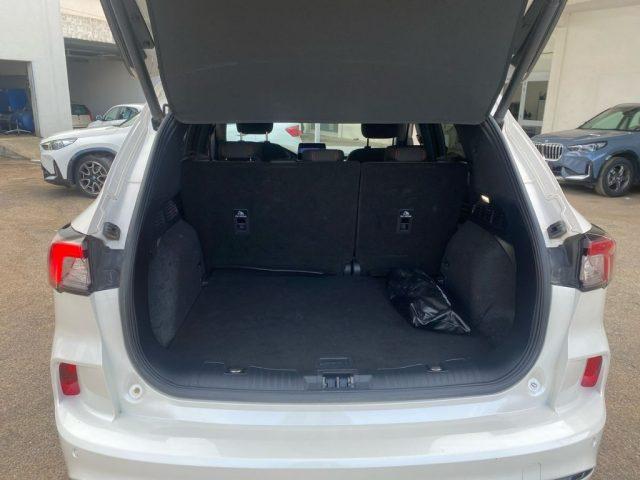 FORD Kuga 1.5 EcoBlue 120 CV 2WD ST-Line