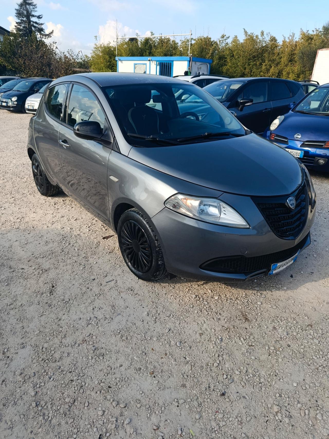 Lancia Ypsilon 1.2 69 CV 5 porte GPL Ecochic Elefantino