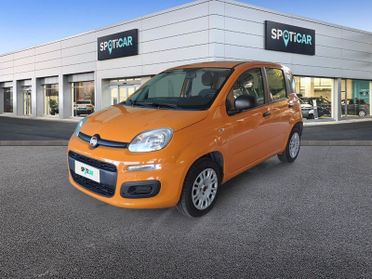 FIAT Panda 1.2 69cv S&S E6d-Temp Easy