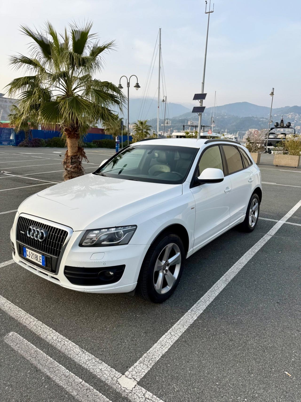 Audi Q5 2.0 TDI 170 CV quattro Advanced