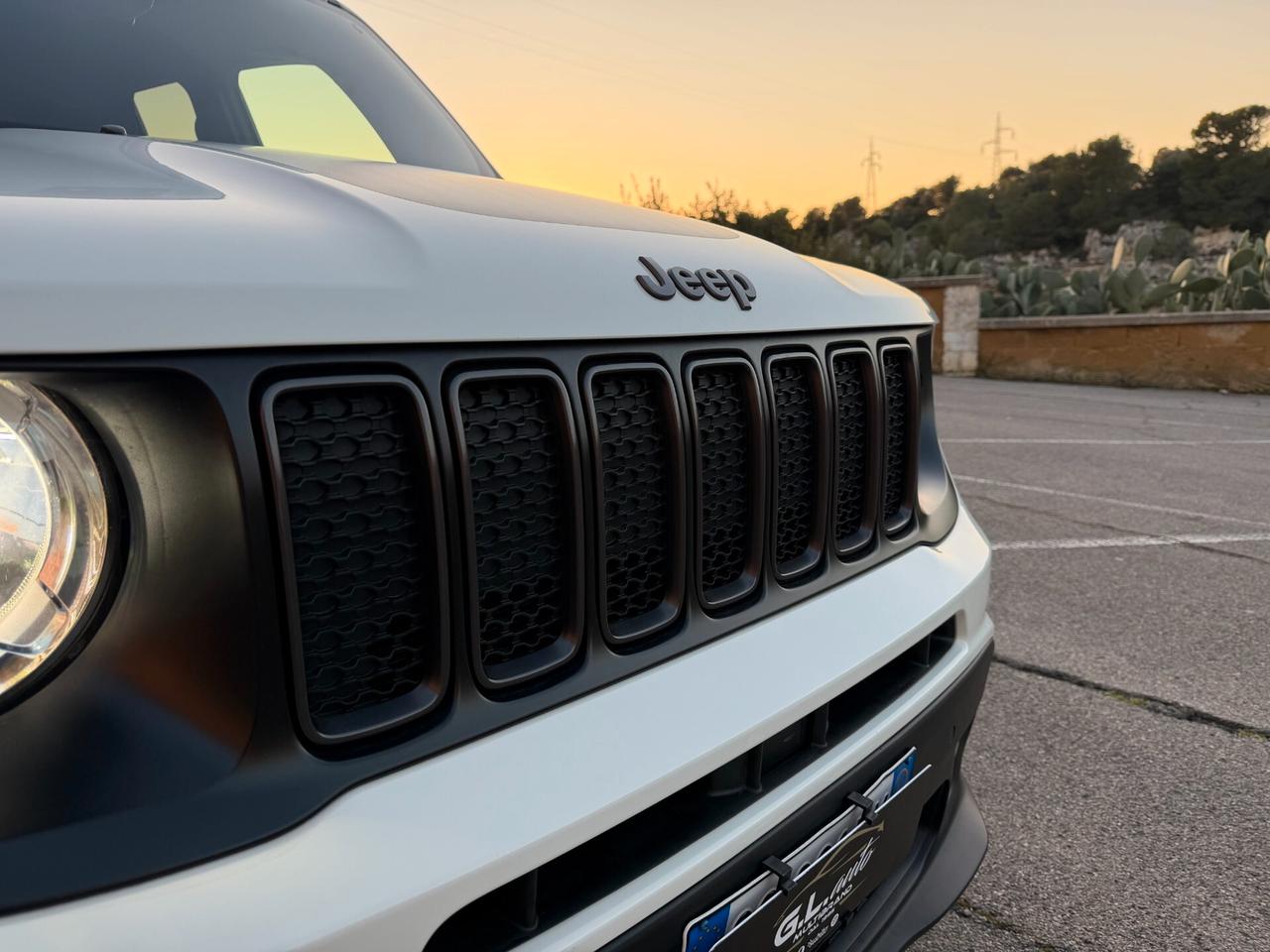 Jeep Renegade S/1.6 Mjt 130CV/CERCHI 19/SOLO 75000 KM