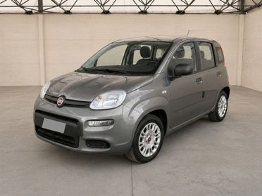 FIAT Panda III 2021 - Panda 1.0 firefly hybrid City Life s&s 70cv