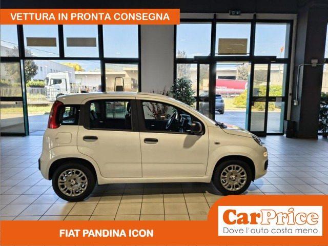 FIAT Pandina 1.0 FireFly 65CV Hybrid Icon (5 Posti)
