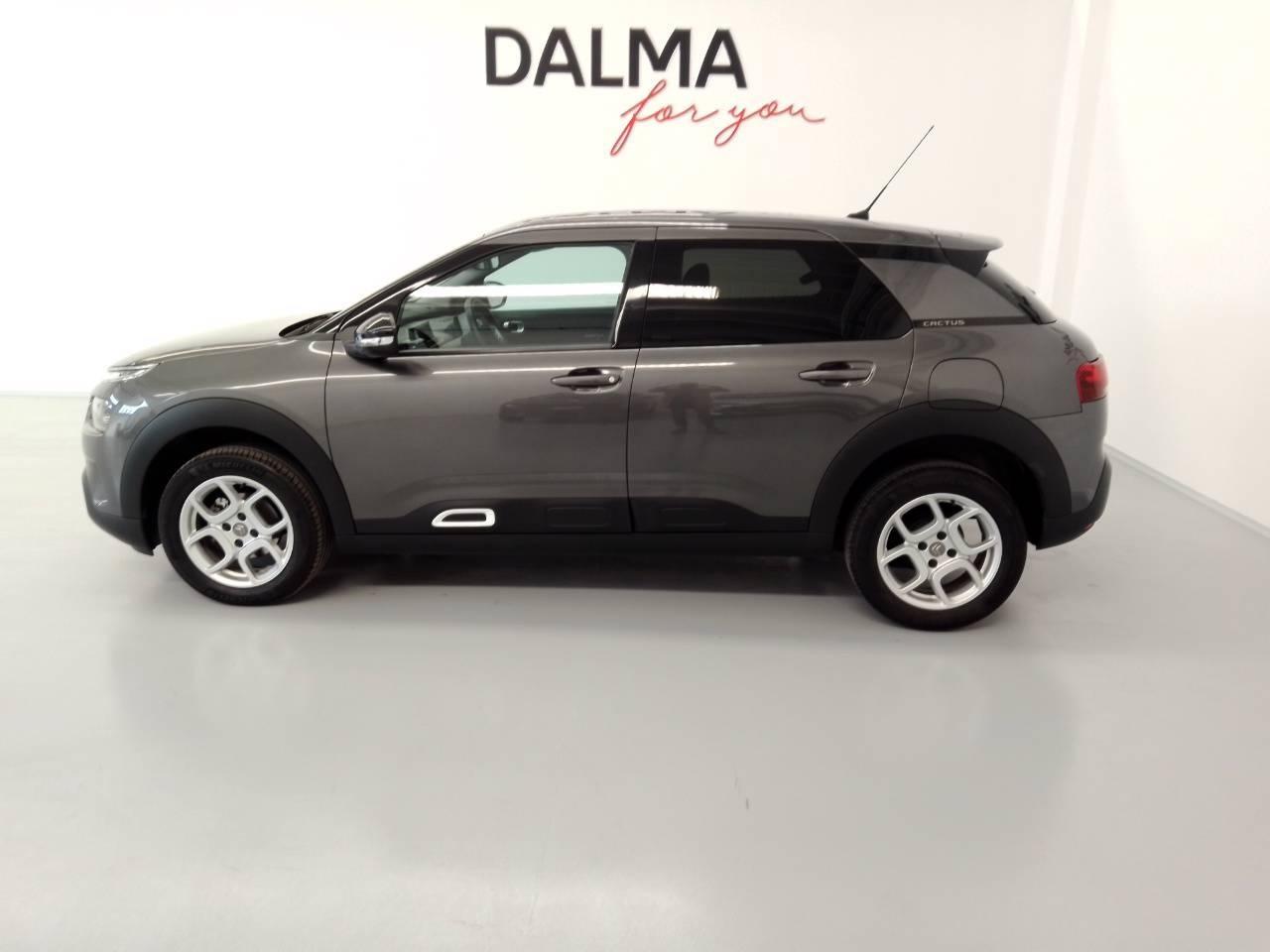 CITROEN C4 Cactus 2018 - C4 Cactus 1.5 bluehdi Shine s&s 120cv eat6
