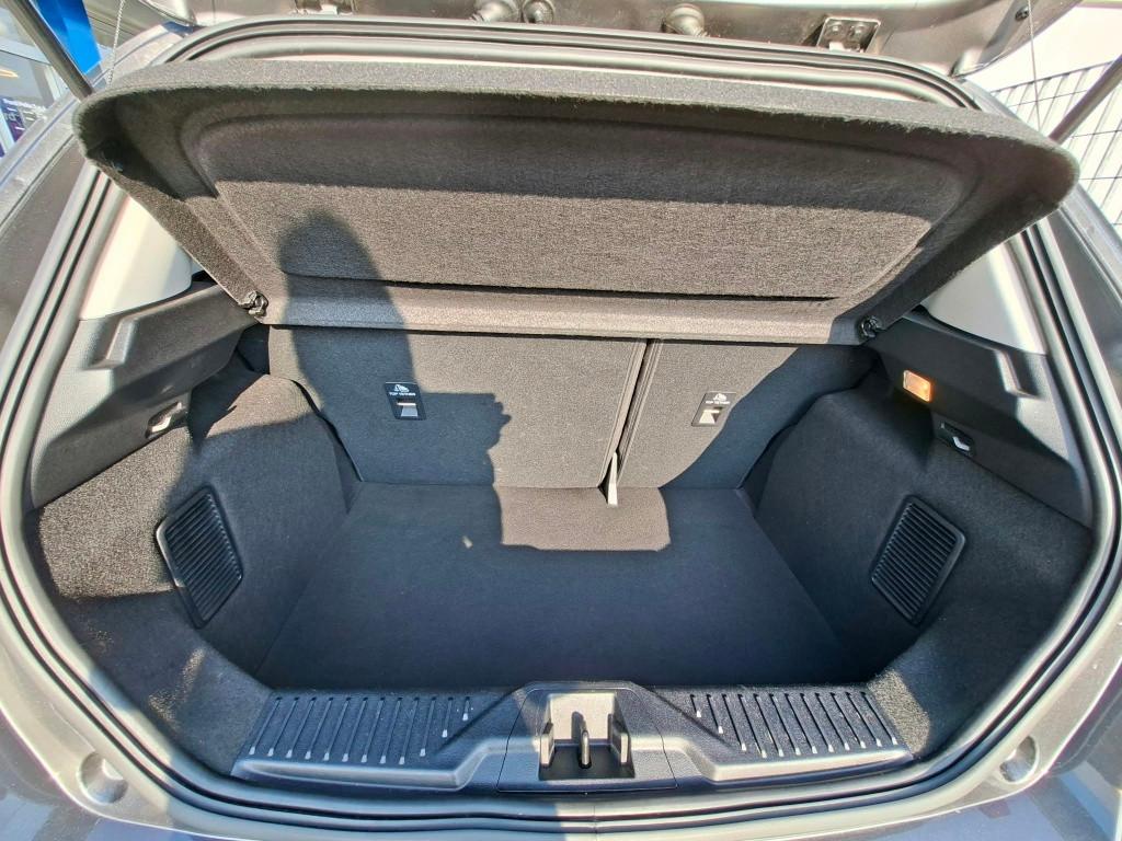 FORD Fiesta Active 2022 - Fiesta Active 1.0 ecoboost h 125cv