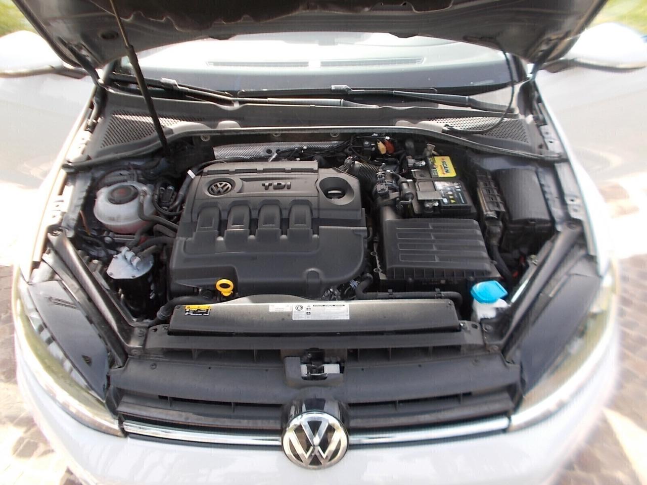 Volkswagen Golf 1.6 TDi VIRTUAL COCKPIT da VETRINA