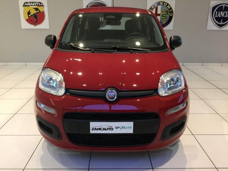 FIAT Panda Panda 1.0 FireFly S&S Hybrid Pop 65cv