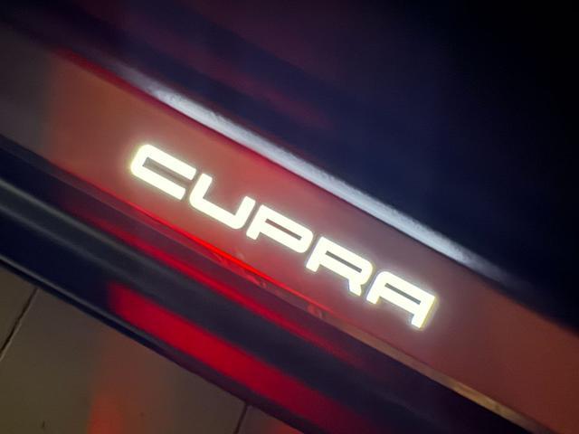 CUPRA Formentor 2.0 TDI 150 CV 4Drive DSG ''OPACA''