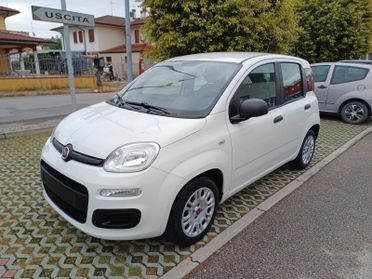 Fiat Panda 1.0 FireFly 70 cv S&S Hybrid Easy 5 posti