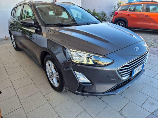 FORD Focus 1.5 EcoBlue 120 CV SW Business