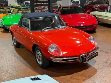 ALFA ROMEO Spider Osso di Seppia 1750 Veloce