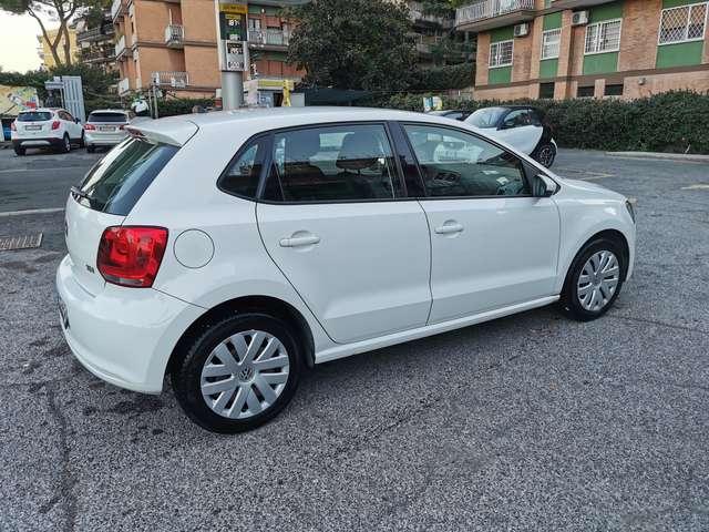 Volkswagen Polo Polo V 5p 1.2 tdi Trendline