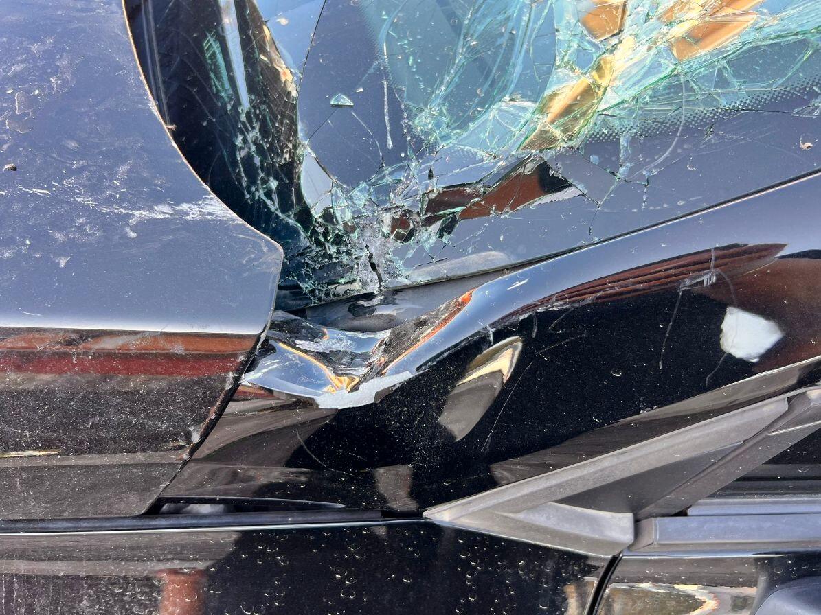 Renault Clio Blue dCi 85 CV 5 porte Intens