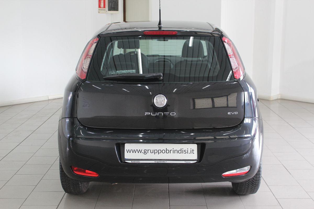 FIAT - Punto Evo - 1.2 5p. Dynamic