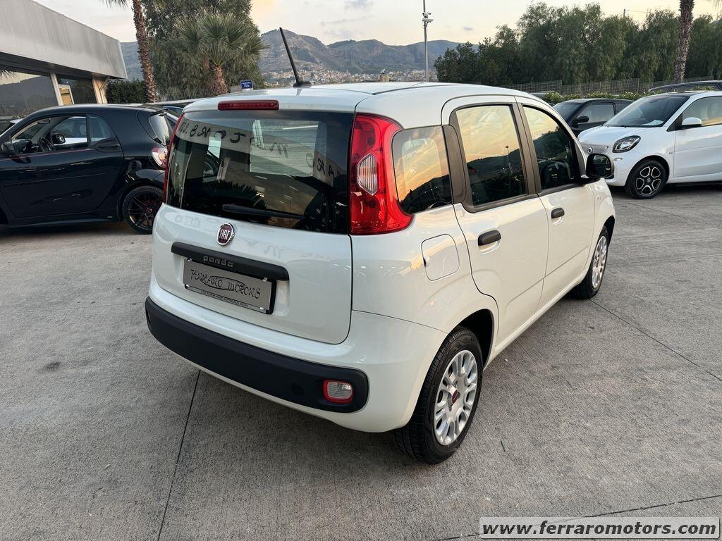 Fiat Panda 1.2 Easy 69CV PER NEOPATENTATI A SOLI 99 EURO AL MESE