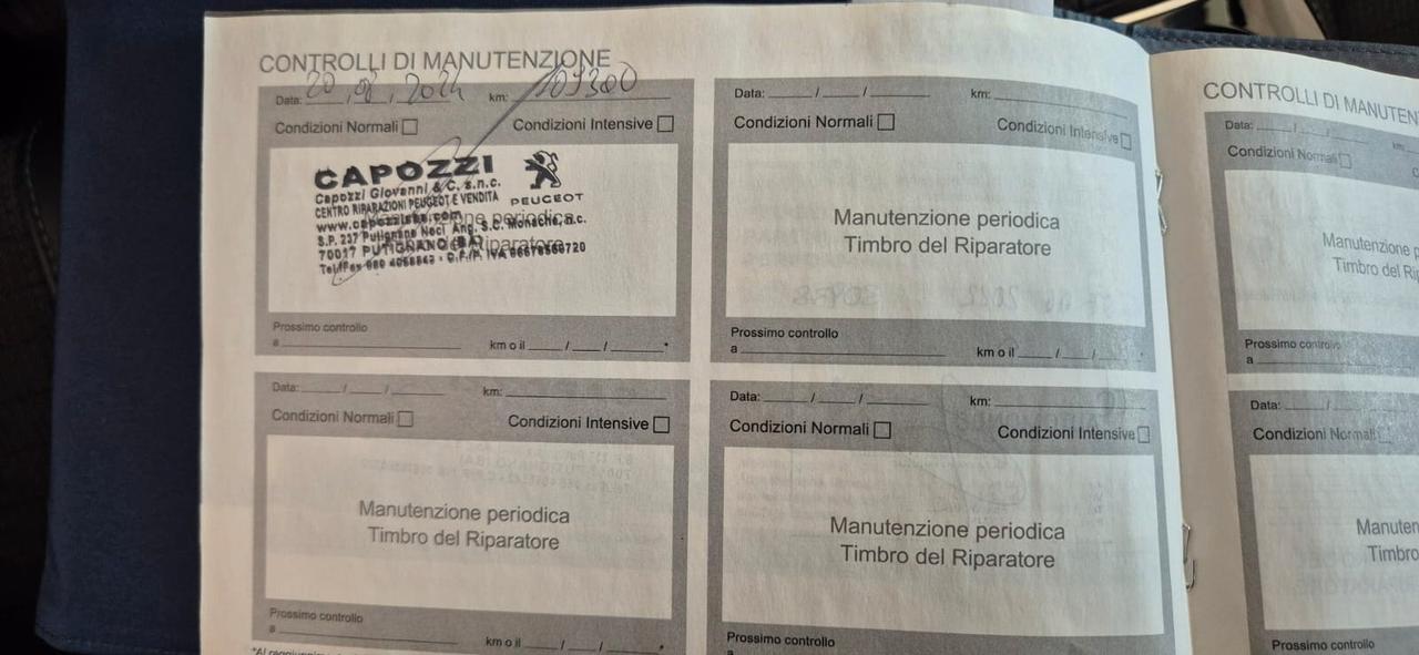 Peugeot 2008 BlueHDi 110 Allure Pack-2021-Gar3anni