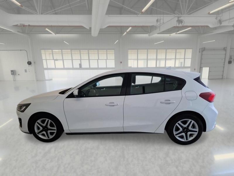 FORD FOCUS 1.5 ECOBLUE 120 CV BUSINESS 5 PORTE BERLINA