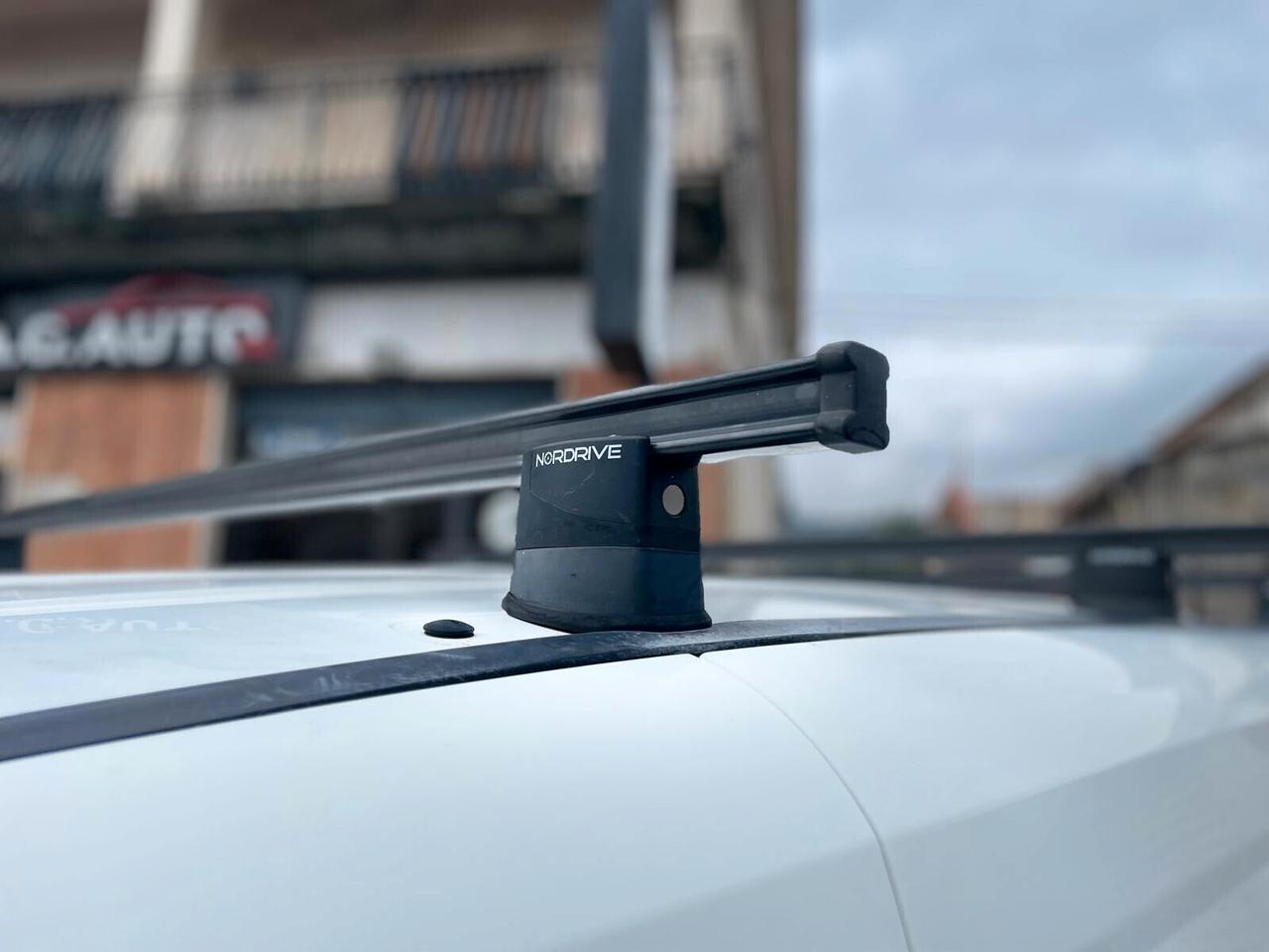 Fiat Doblò 1.6 MJT 105CV PL-TN Cargo Maxi Lamierato SX