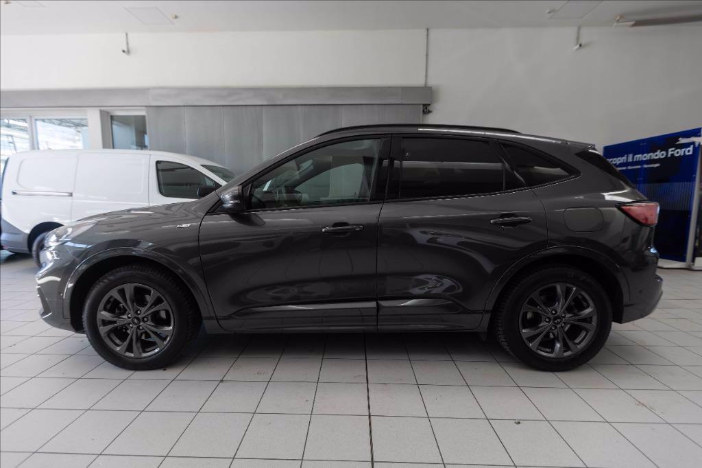 FORD Kuga 2.0 ecoblue ST-Line X awd 150cv auto del 2022