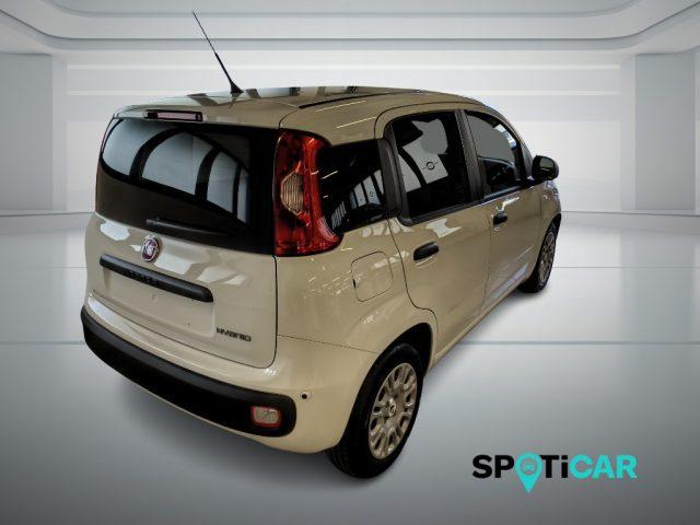 FIAT Panda Pandina Van Pop 1.0 Hybrid 65cv S&S -2 Posti