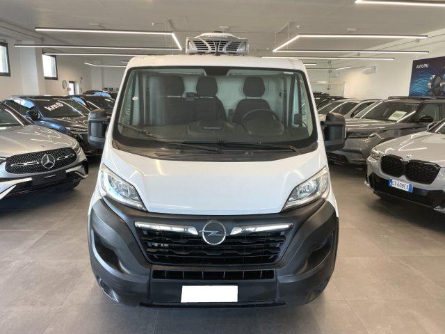 OPEL Movano 33 2.2 BlueHDi 140 CV Furgone Frigo -20°