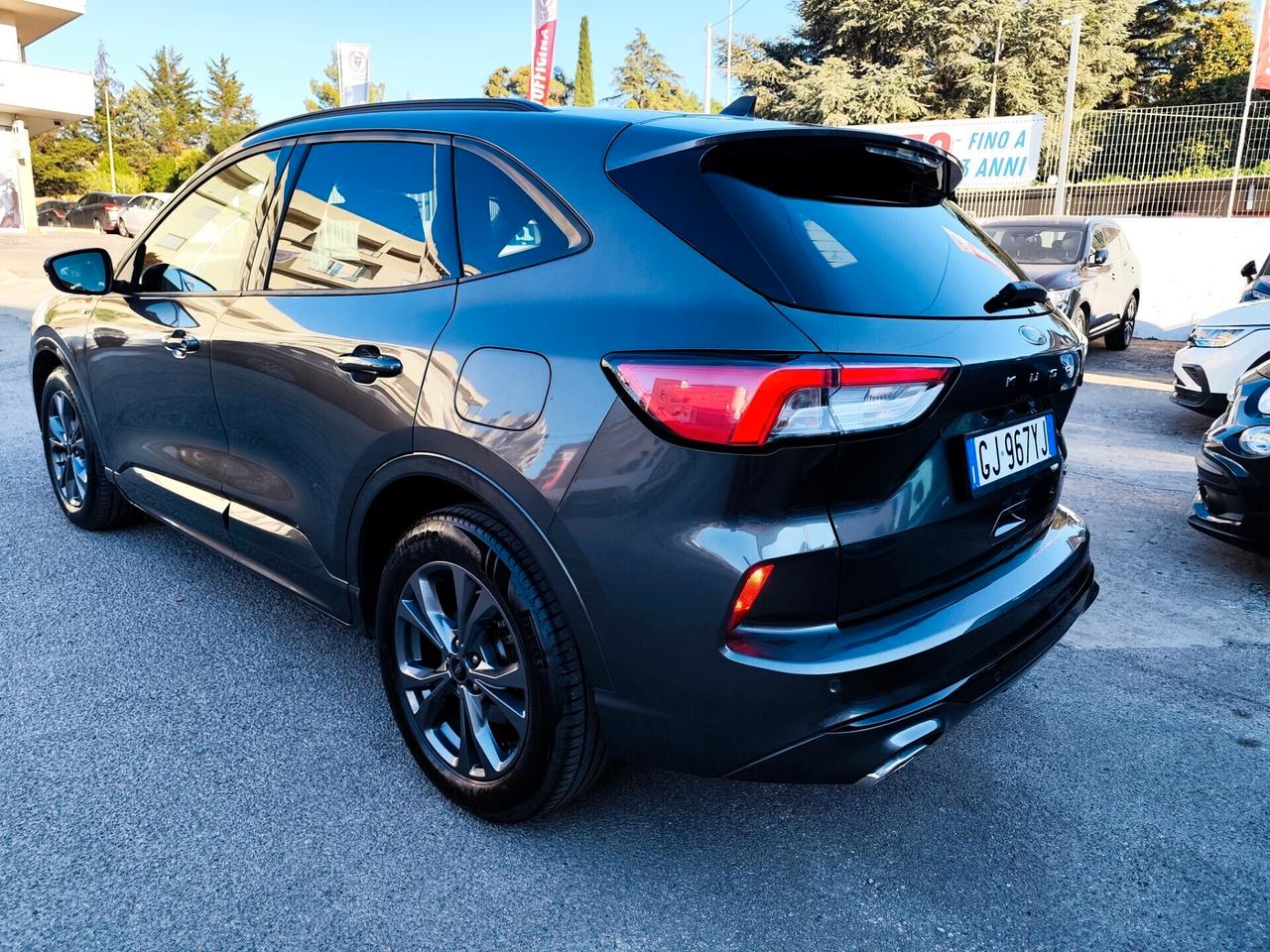 Ford Kuga 2.0 EcoBlue Hybrid 150 CV 2WD ST-Line
