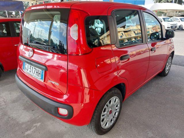 FIAT Panda 1.0 FireFly S&S Hybrid Aziendale 5 posti Fatturabi