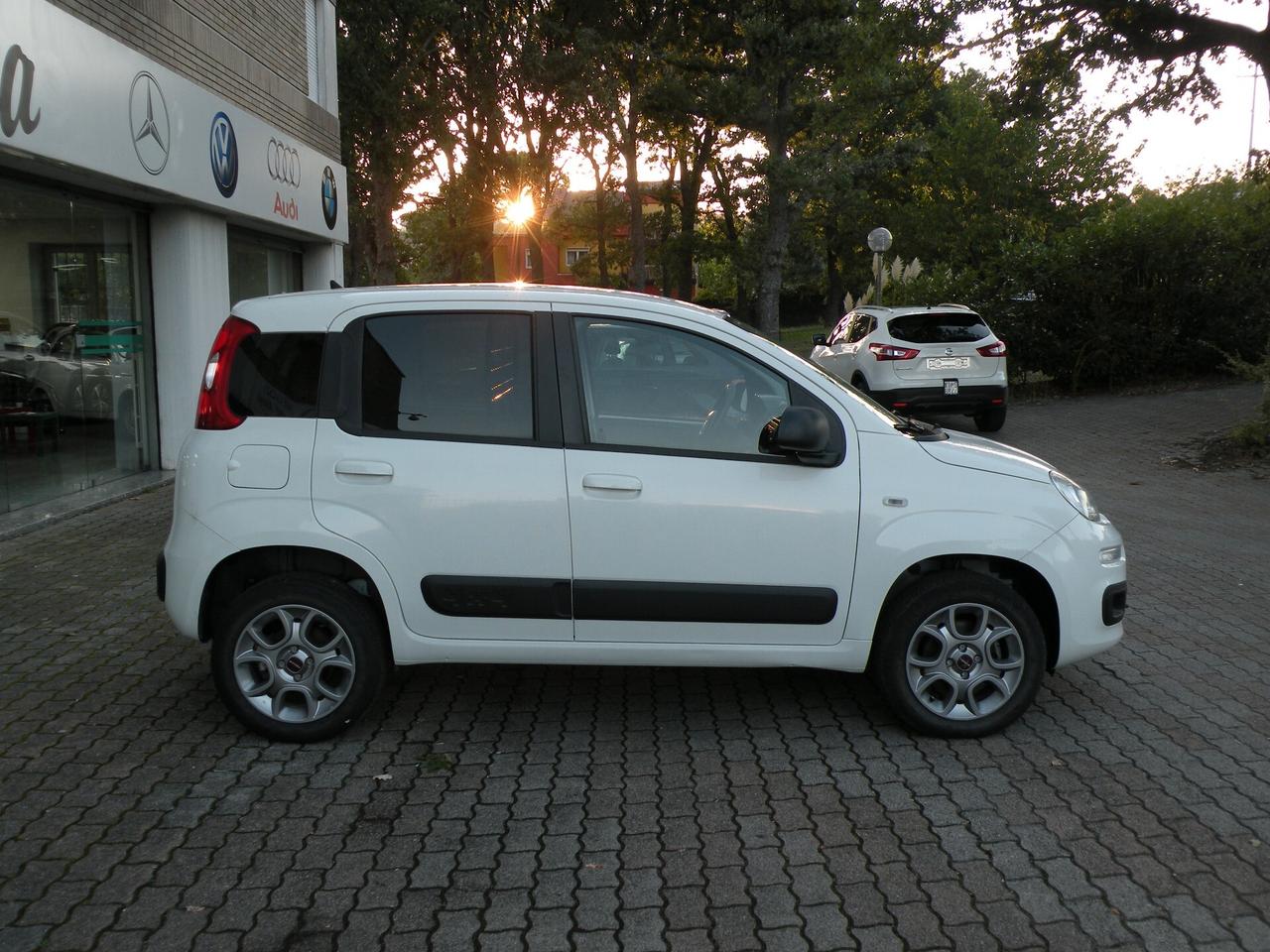 FIAT PANDA 1.3 MJT 80 CV S&S 4x4 2016