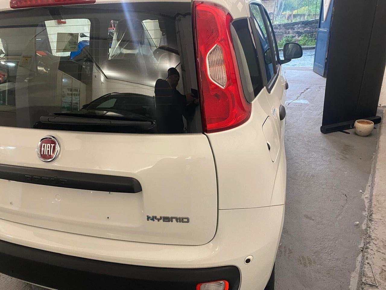 FIAT PANDA MY25 1.0 70cv Hybrid PANDA