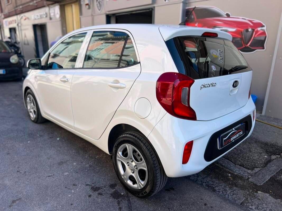 Kia Picanto 1.0 12V 5 porte Cool 2019