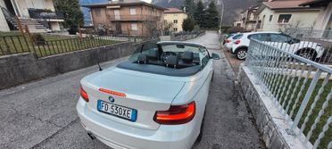 Bmw 220 220d Cabrio Luxury