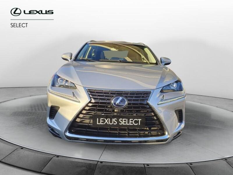 Lexus NX Hybrid 4WD Business