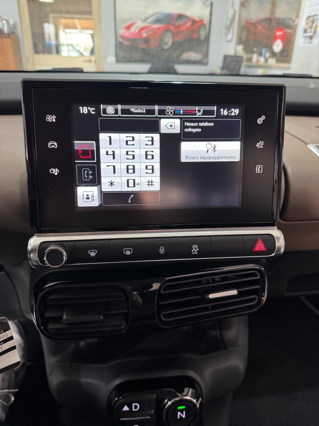 Citroen C4 Cactus BlueHDi 100 cv. Autom. Shine OK