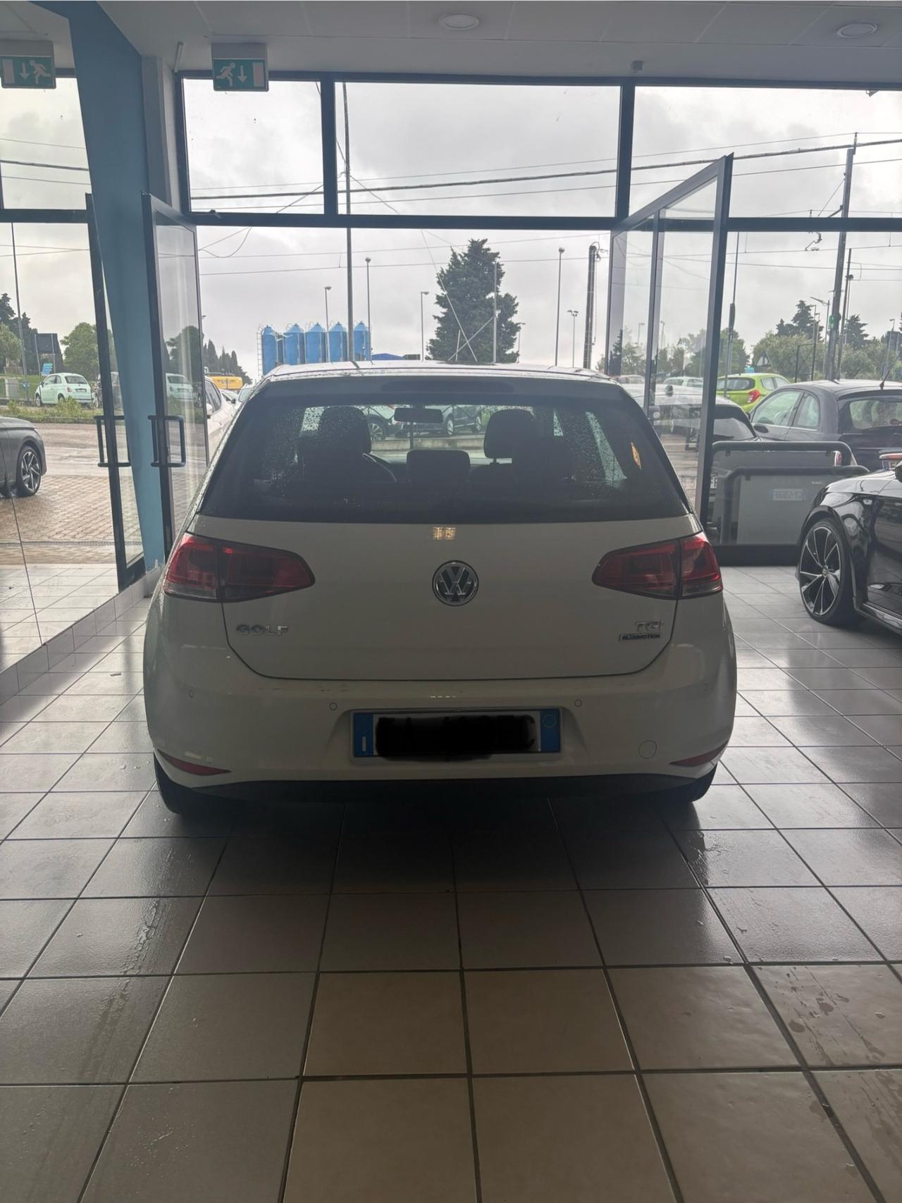 Volkswagen Golf 1.4 TGI 5p. Executive BlueMotion