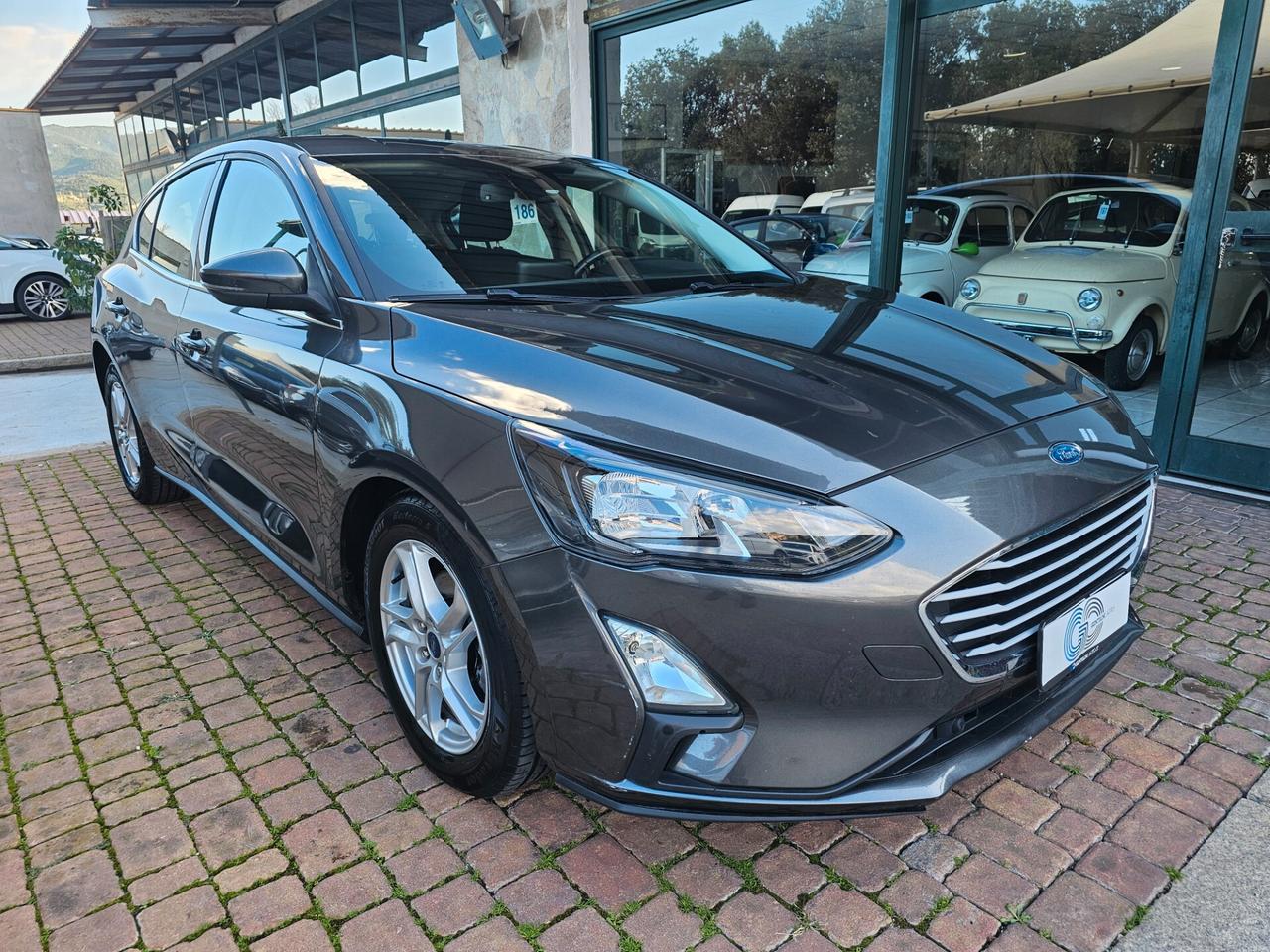 Ford Focus 1.5 EcoBlue 120 CV automatico 5p. Business Co-Pilot