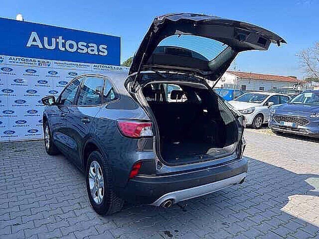 FORD Kuga 1.5 EcoBlue 120 CV aut. 2WD Connect del 2021