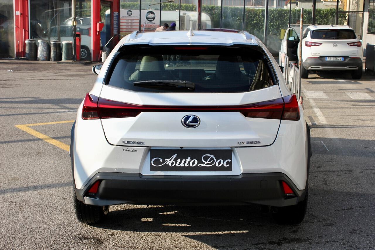Lexus UX 250 H FULL HYBRID BUSINESS NAVY RETROCAMERA